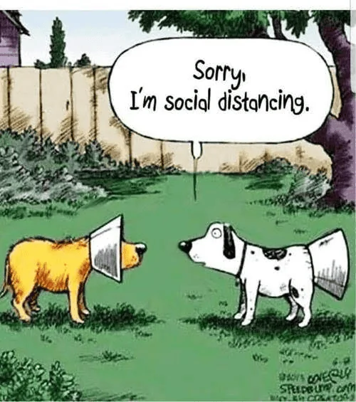 Sorry,I'm Social Distancing.webp