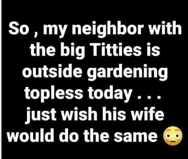 My Neighbor.webp
