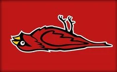 Dead Cardinal.webp