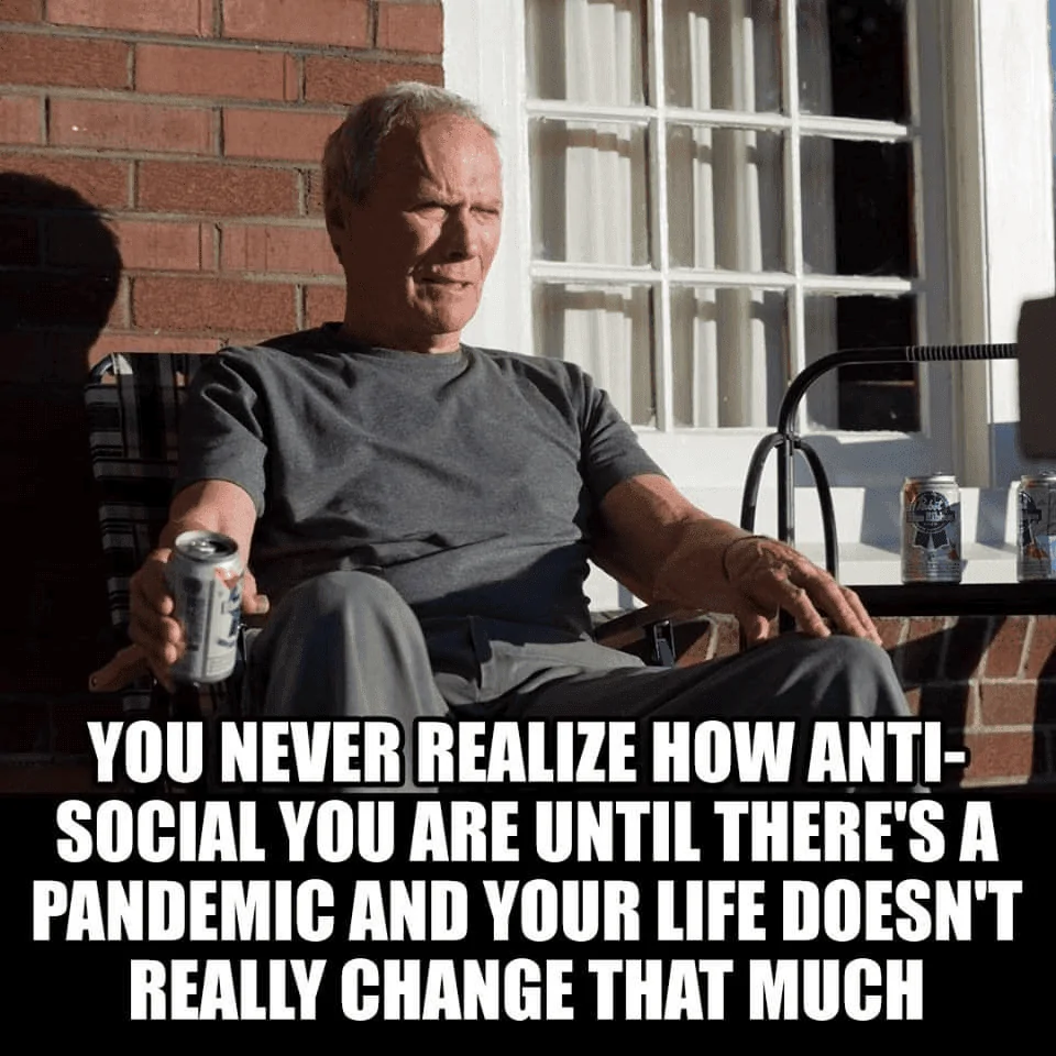 Anti Social.webp