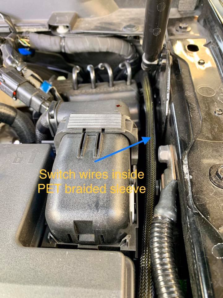 8 Wiring.jpg