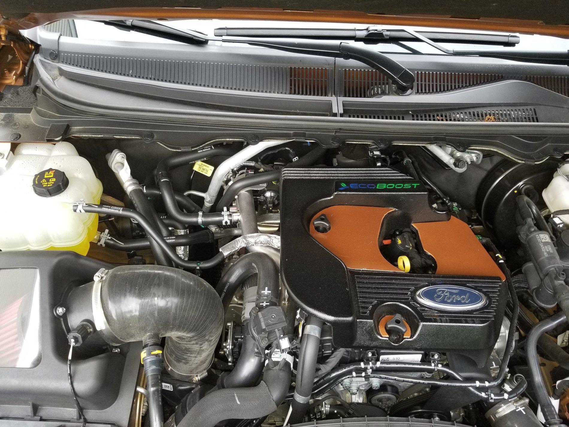 20200611_181552[1].jpg
