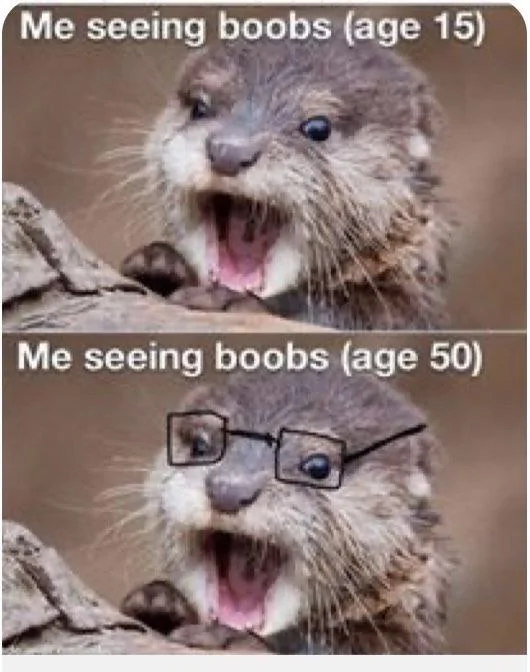 Me Seeing Boobs.webp