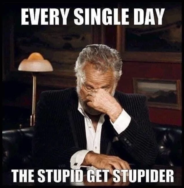 The Stupid Get Stupider.webp