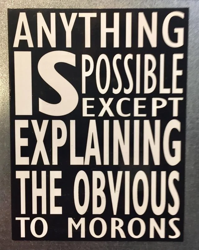 Anything Is Possible.webp
