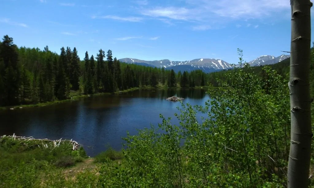 001.webp