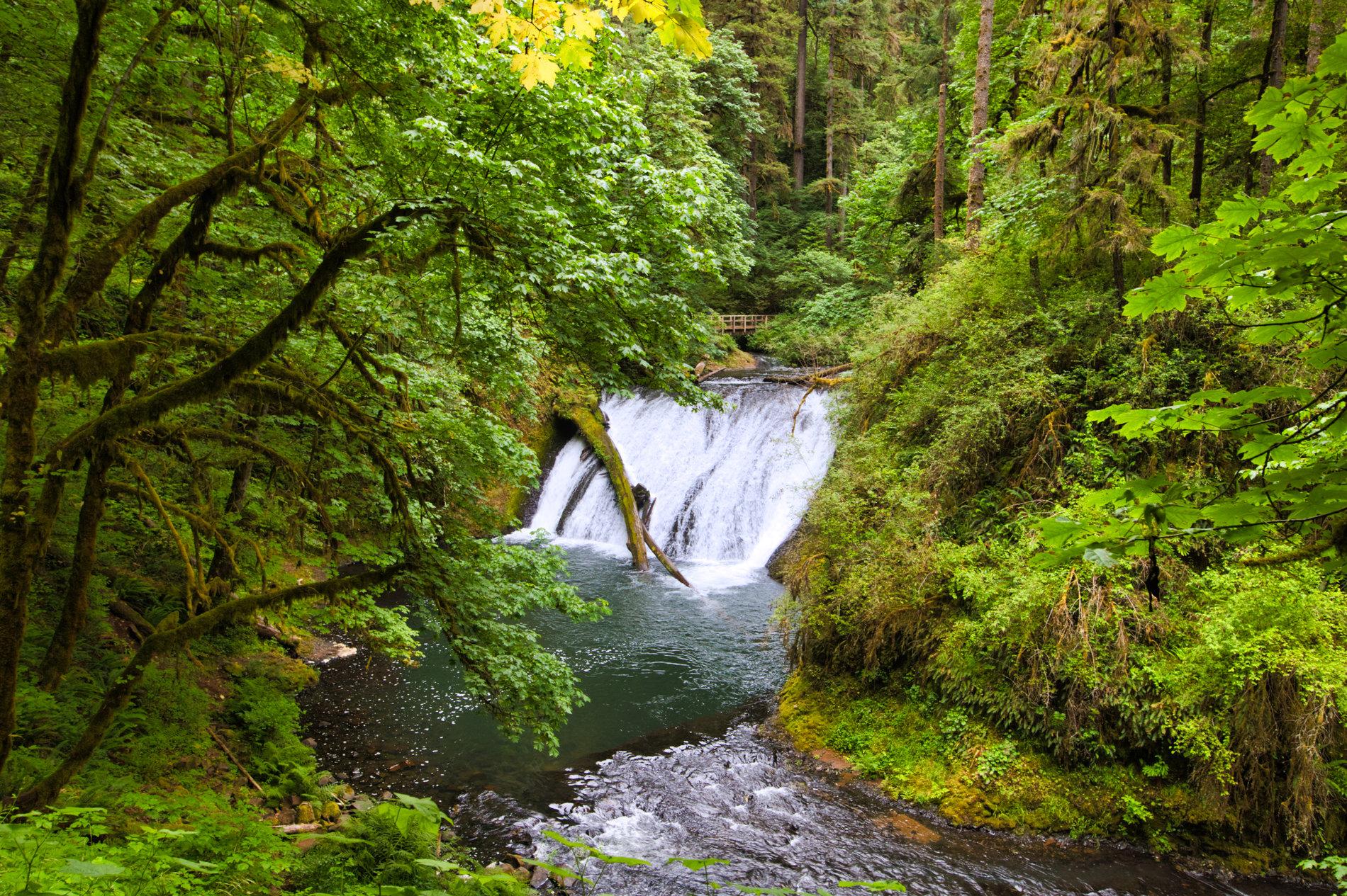 sillver falls 2 small.jpg