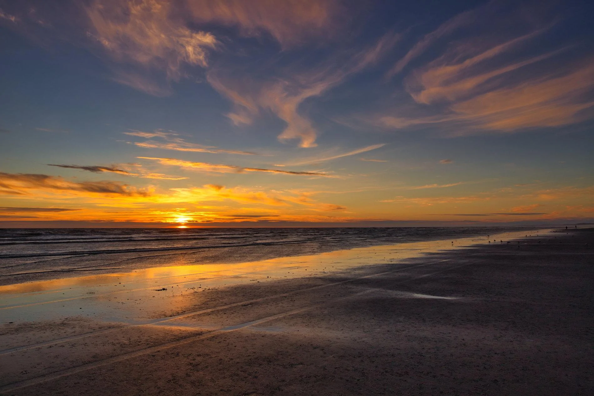 ocean shores sunset small.jpg