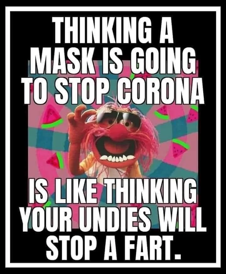 Thinking A Mask Is Going To Stop  Corona .webp