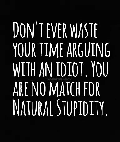 Arguing With An Idiot.webp