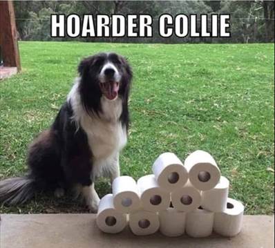 Hoarder.jpg
