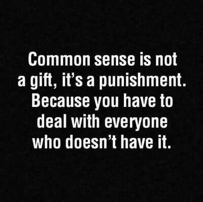 Common Sense.webp