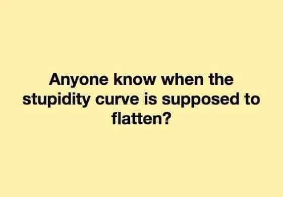 Stupidity Curve.webp