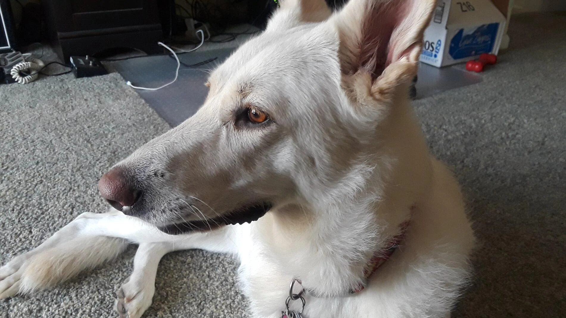 20190330_102309.webp