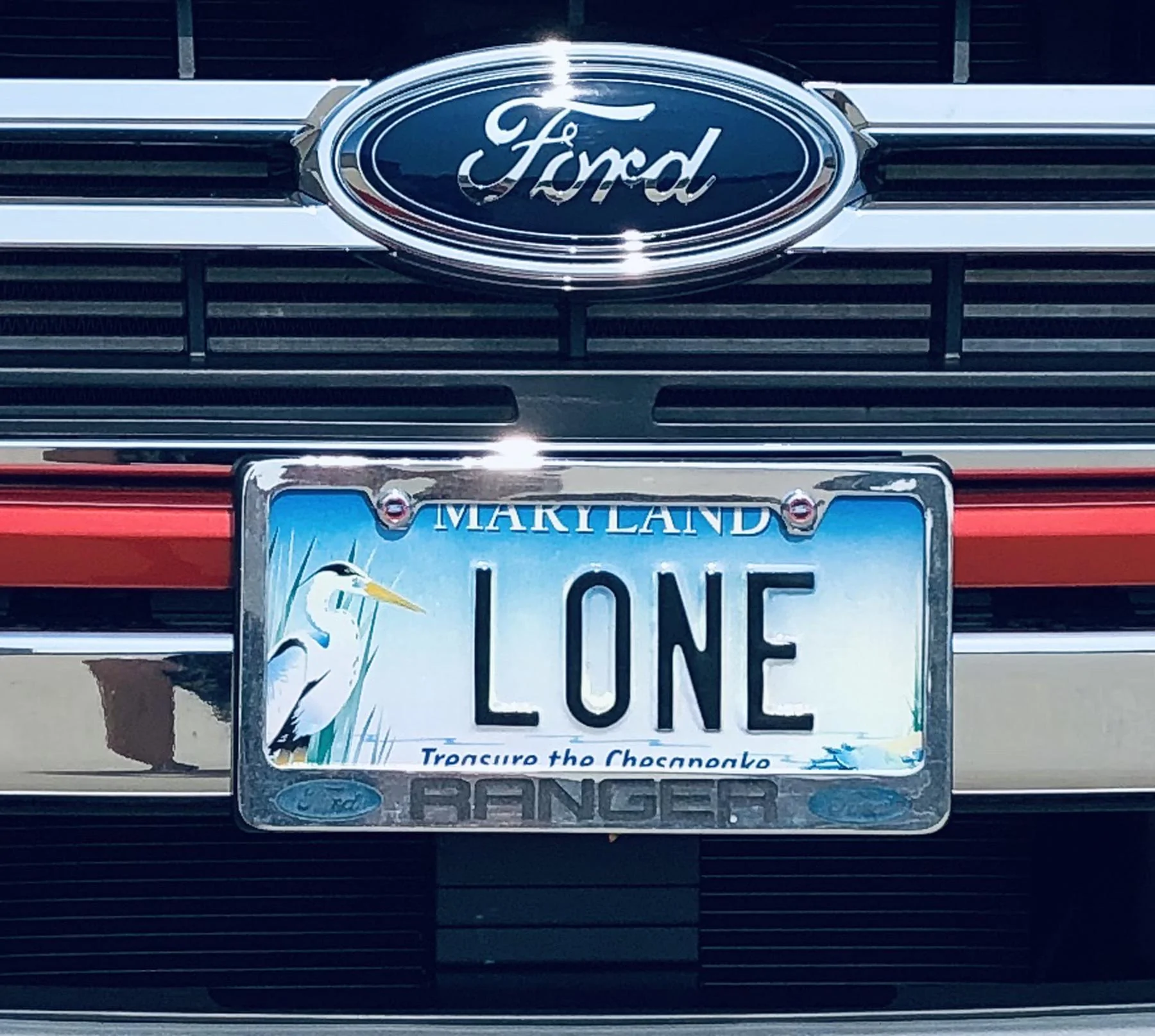 lone plate.webp
