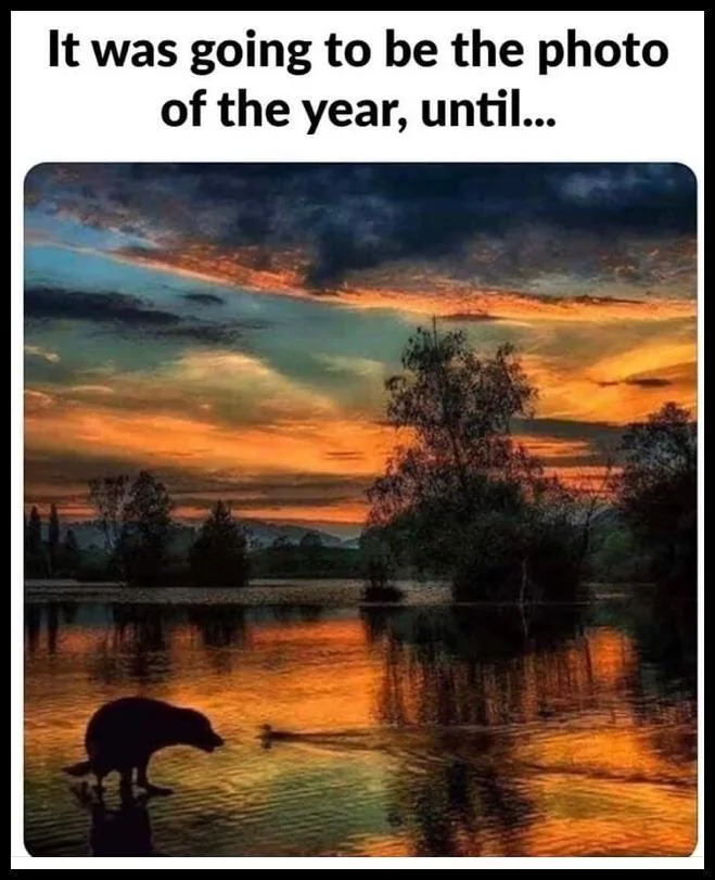 Photo Of The Year Until.webp