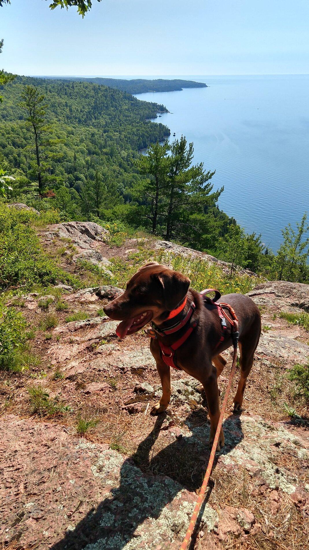 IMG_20200724_111444617_HDR.jpg
