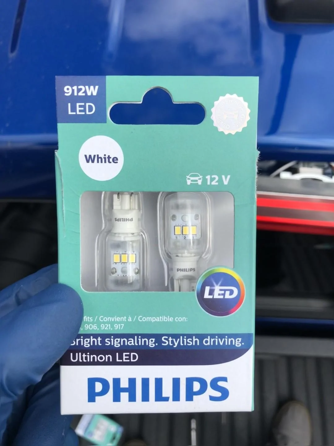 License Plate Bulbs.webp