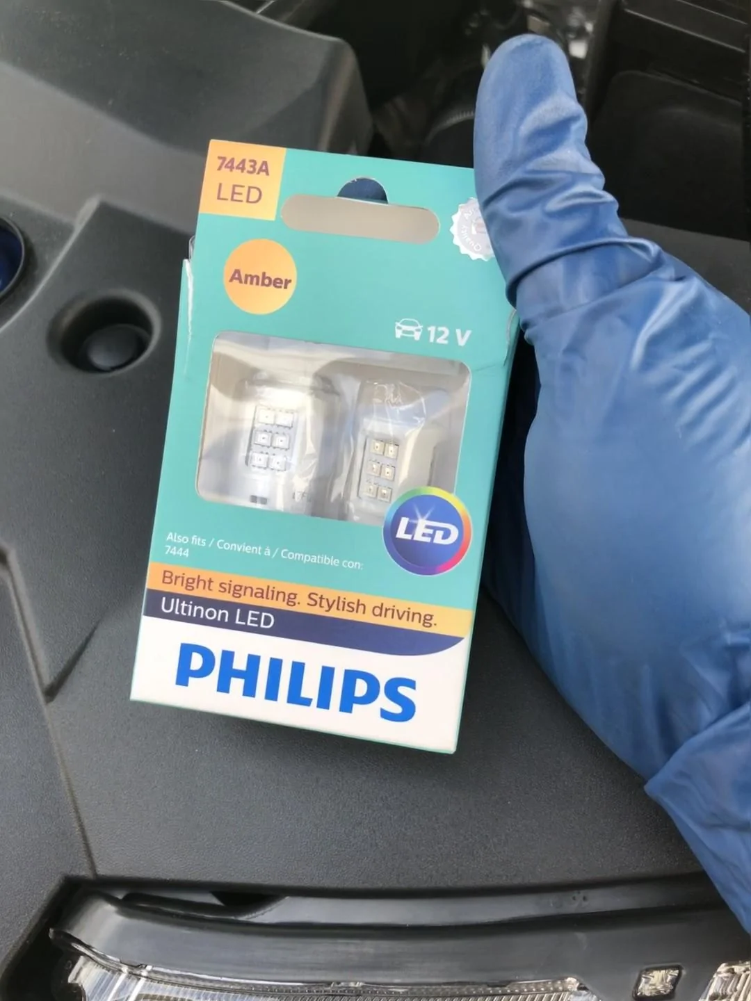 Turn Bulbs.webp
