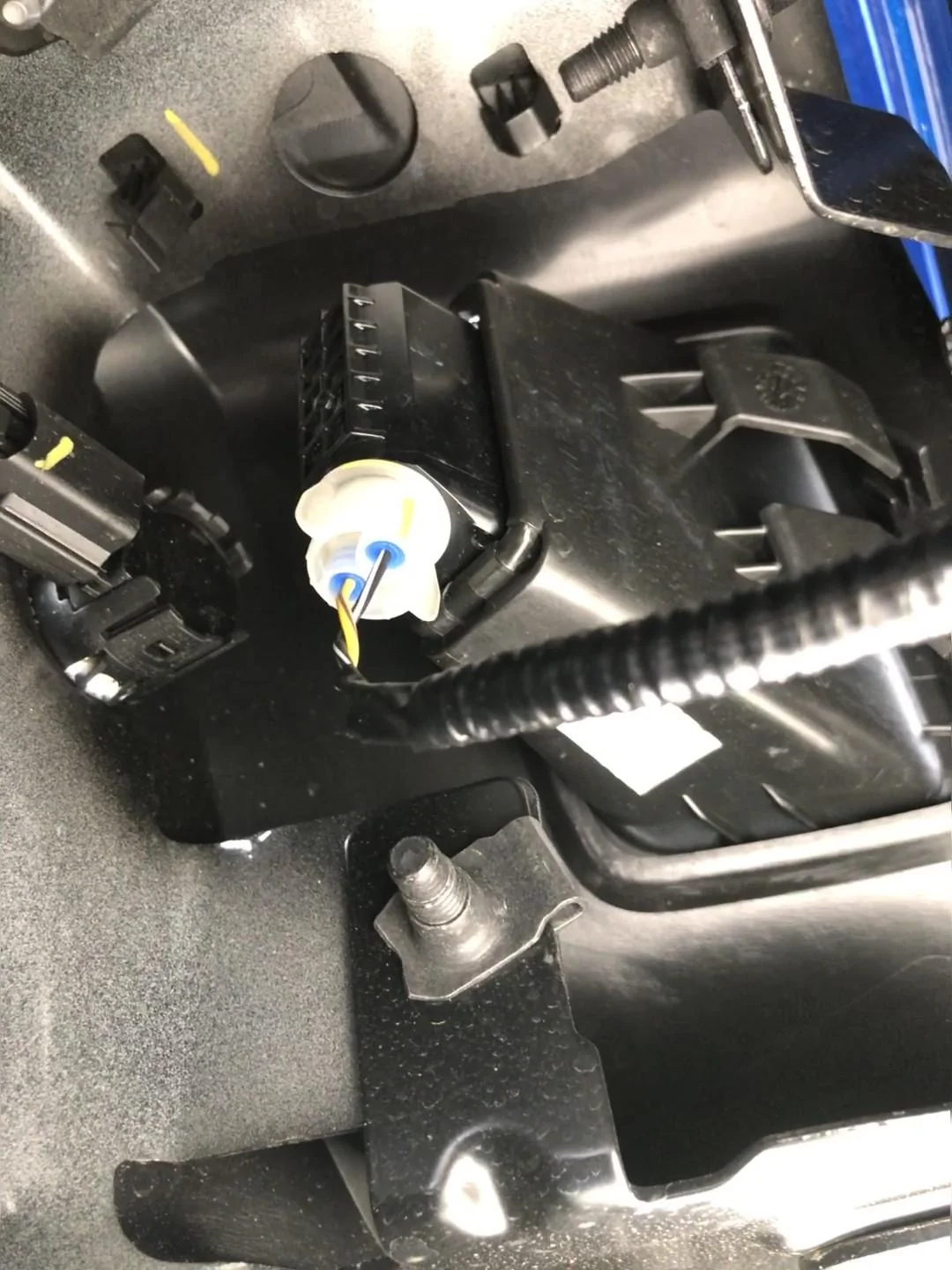 License Plate bulb location.webp