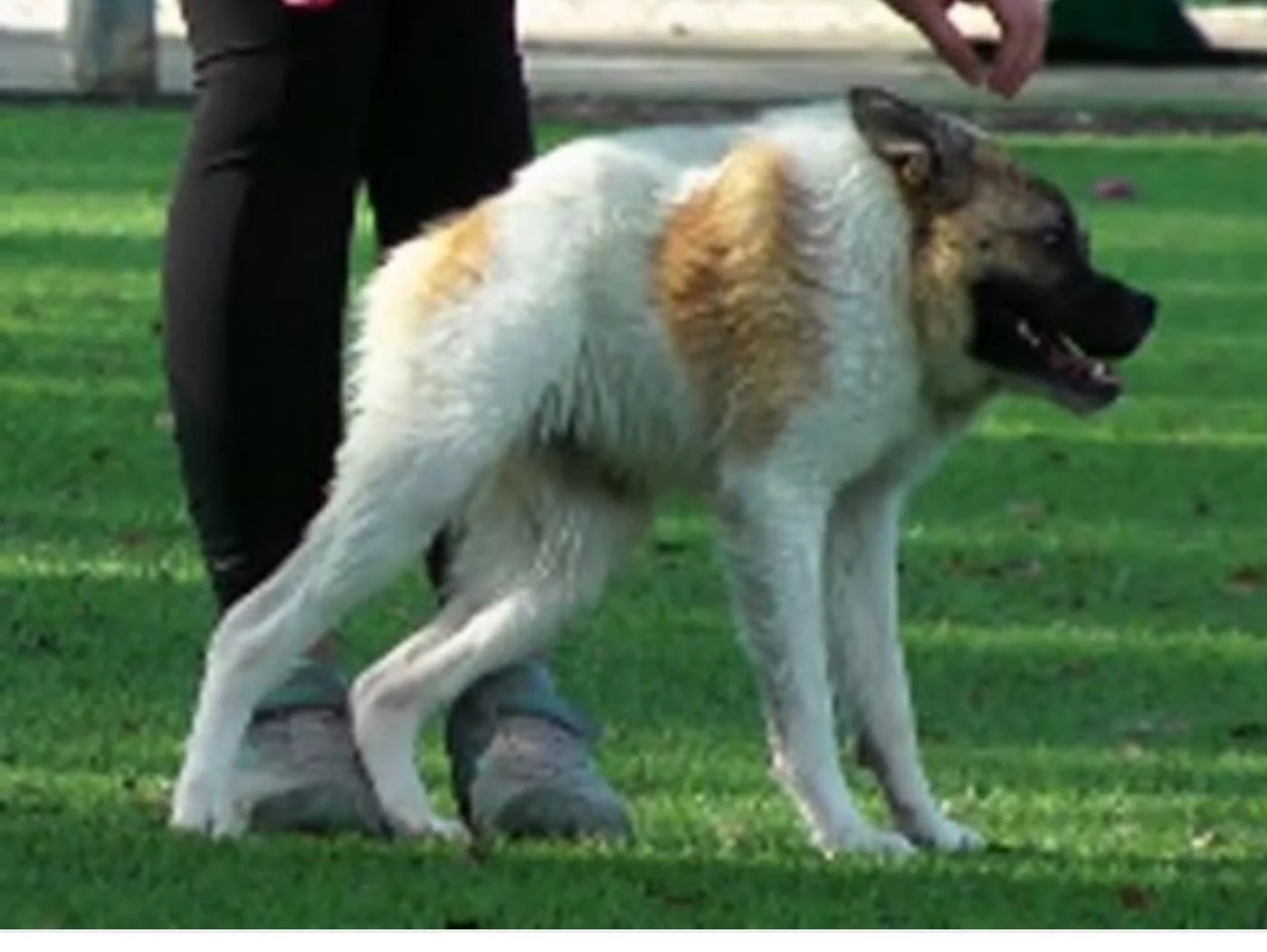 Screenshot_20190301-131325_Google.webp