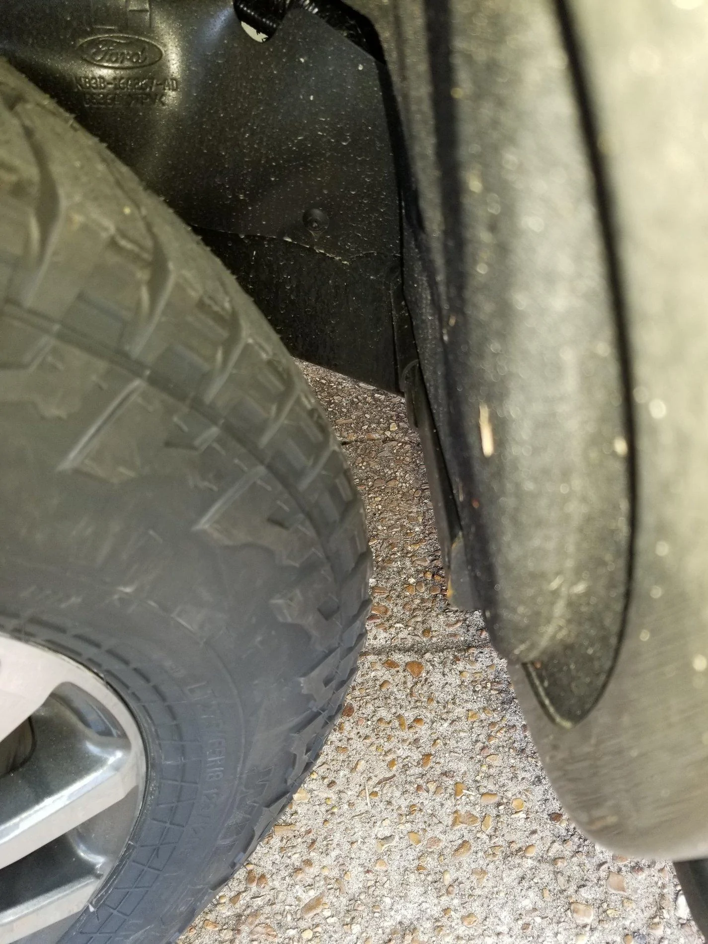 20190301_164154_resized.webp