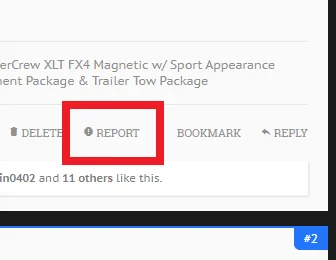 Report.webp