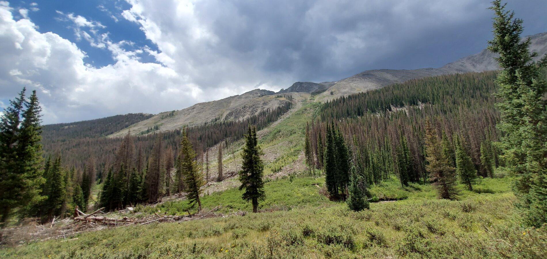 20200801_123355.jpg