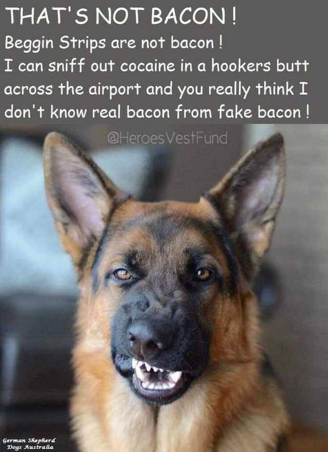That's Not Bacon.jpg