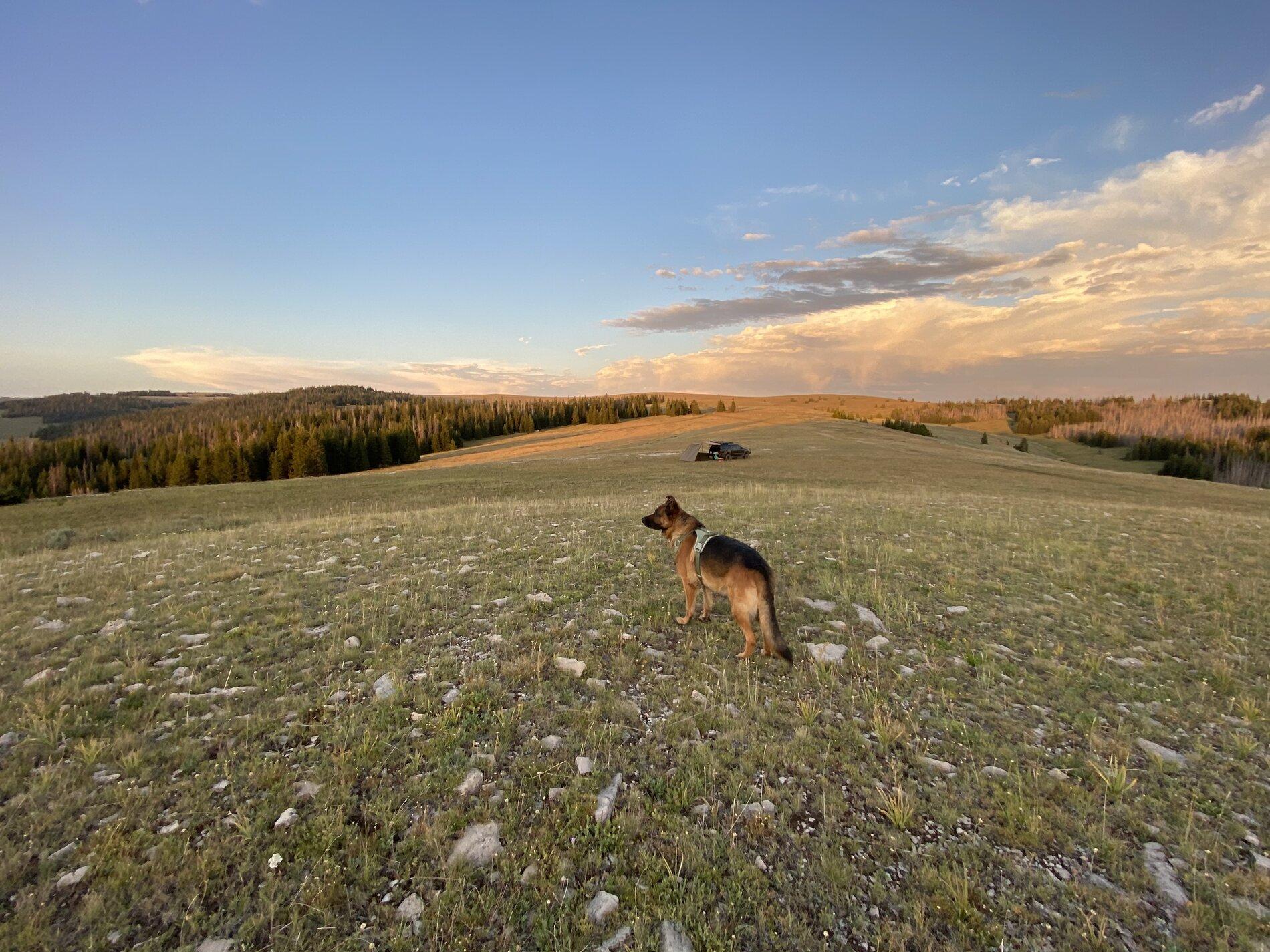 0A0A2826-9851-4CF5-A6E0-2C72F550C527.jpeg