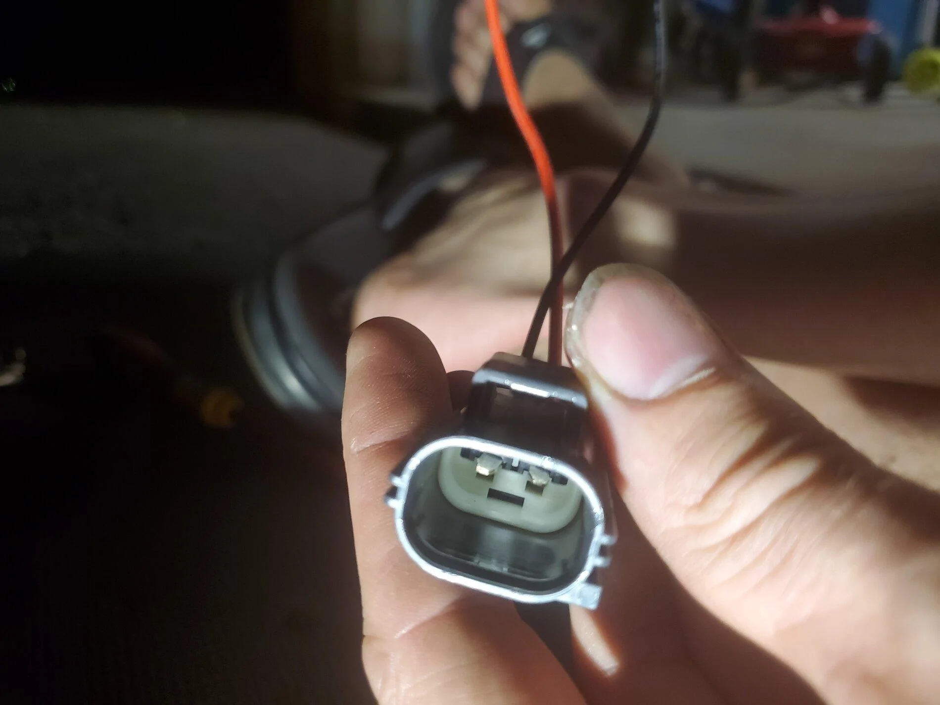 20200810_210953.jpg