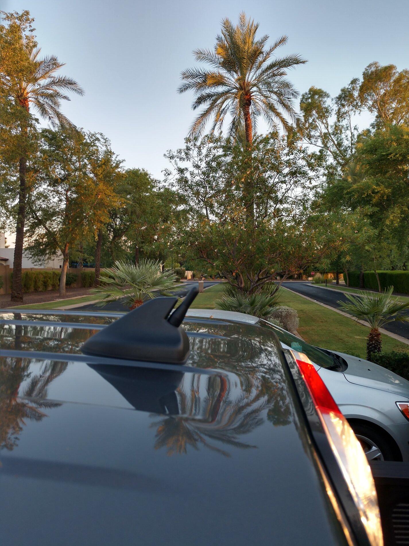 IMG_20200815_185938819_HDR.jpg