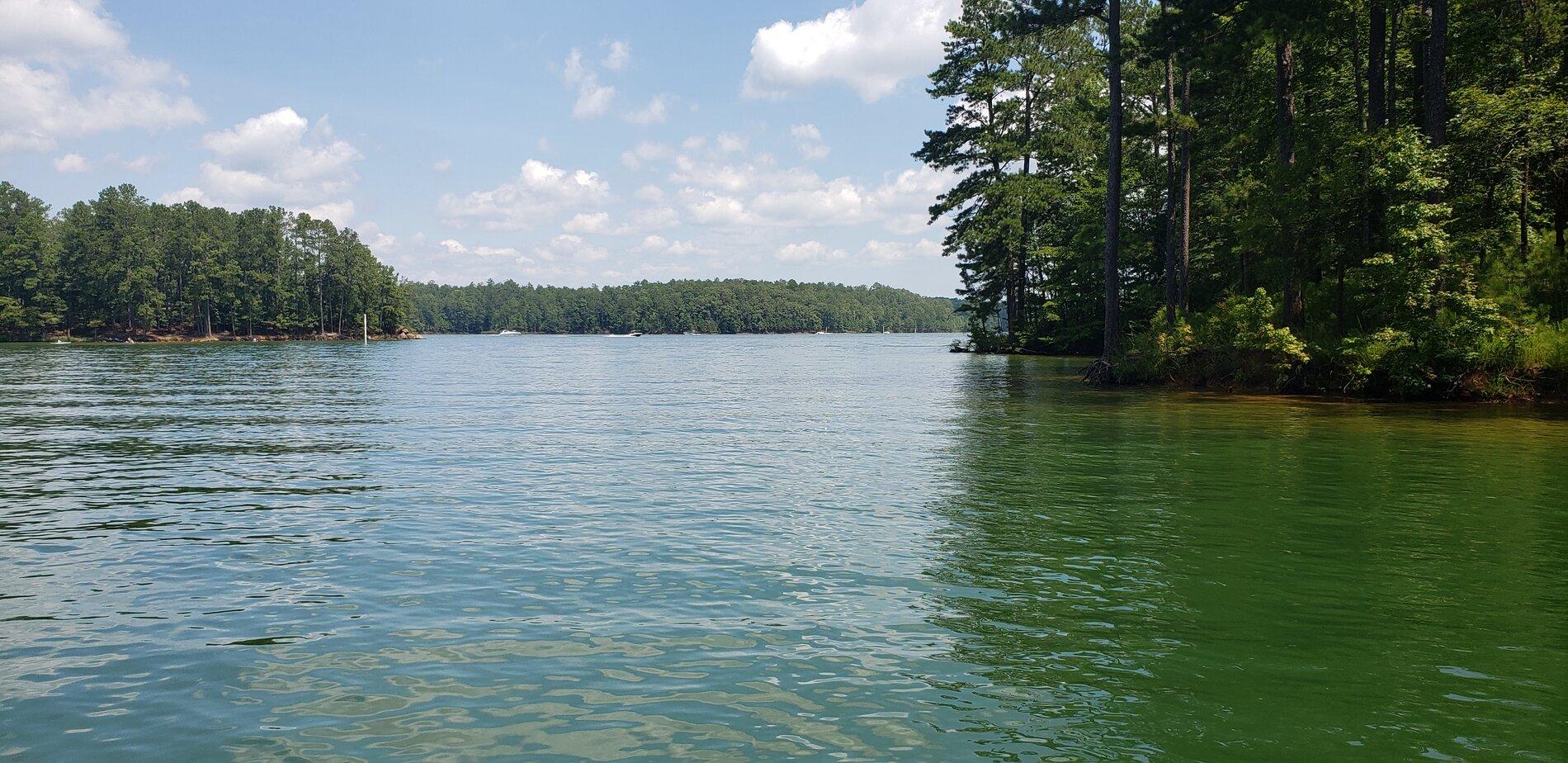 20200816_131459.jpg