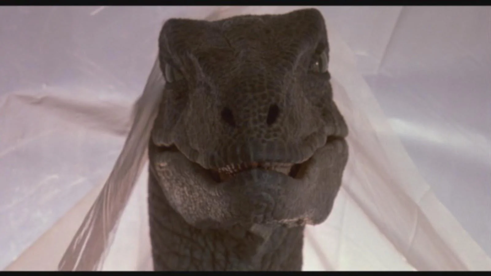 JP1_VelociraptorCurtain.webp