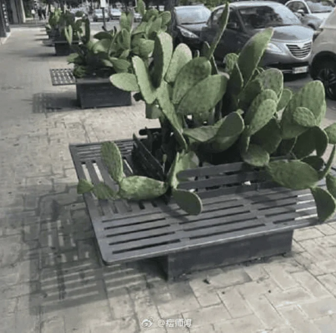 F9E2AB88-3E92-419E-95CE-5BEB3EF9B5E6.png