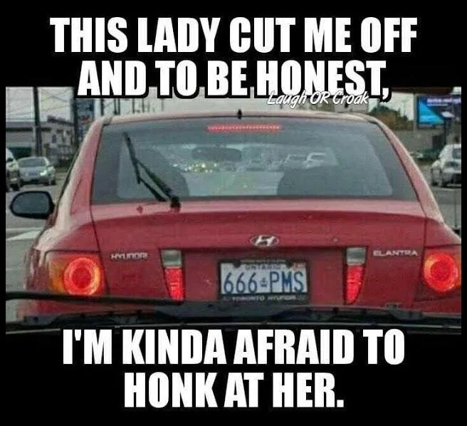 This Lady Cut Me Off.webp