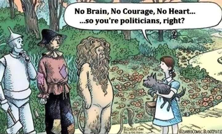 You're a Politician.jpg
