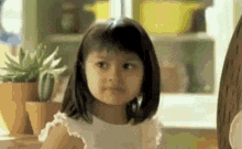 porquenolosdos.gif