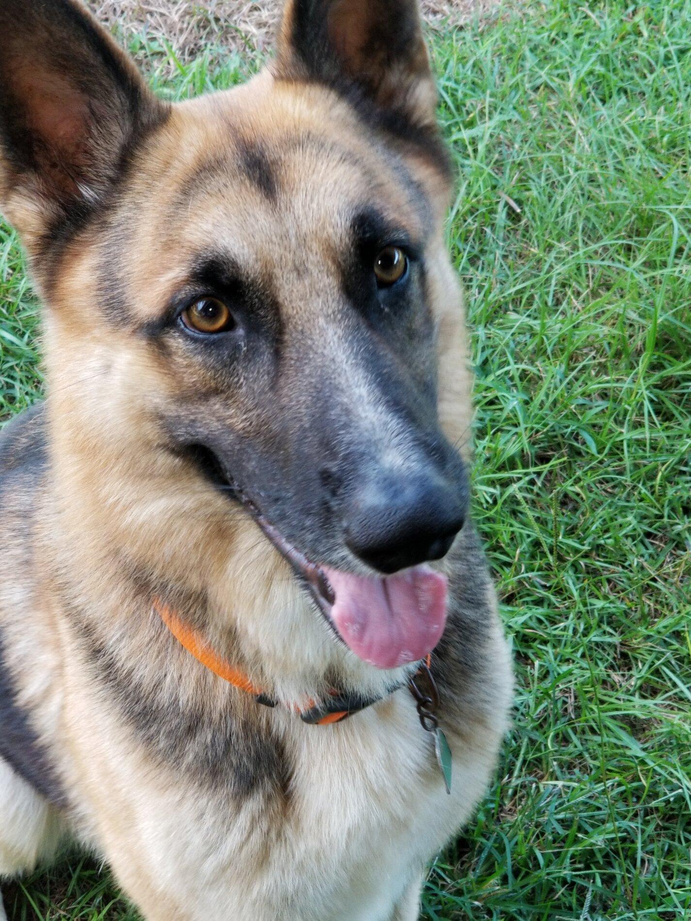 20200906_173512.jpg