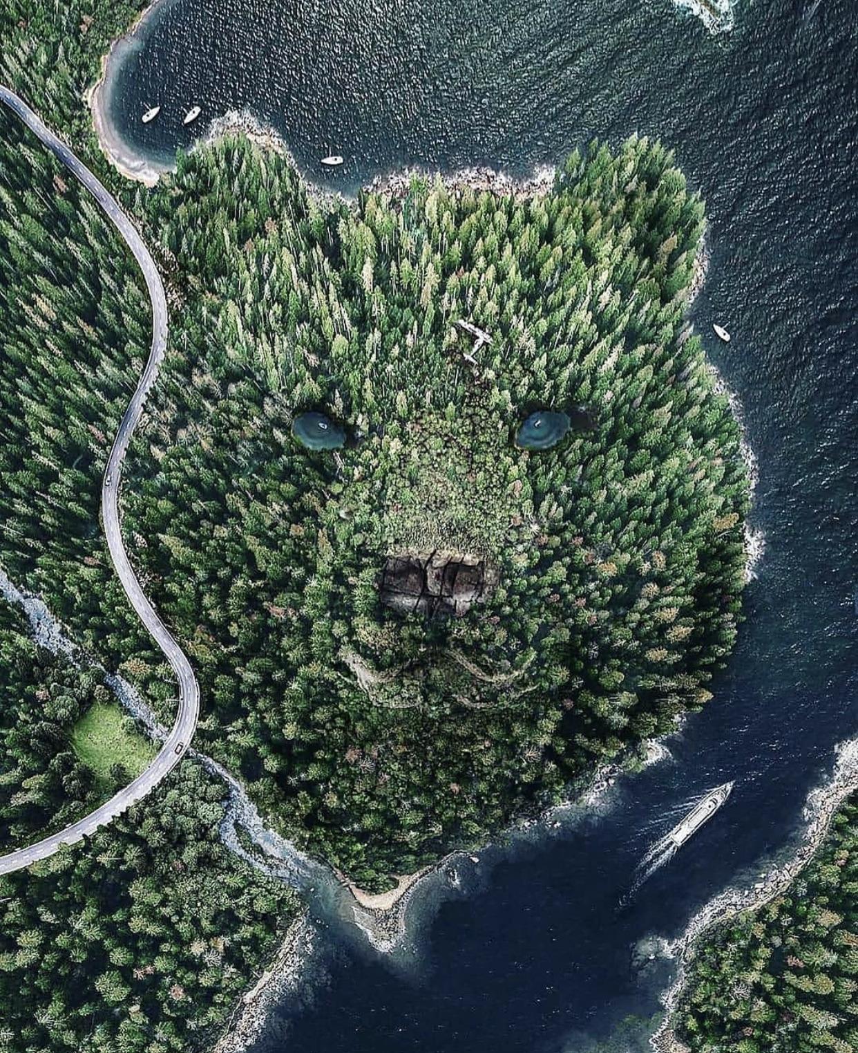 Bear.jpg