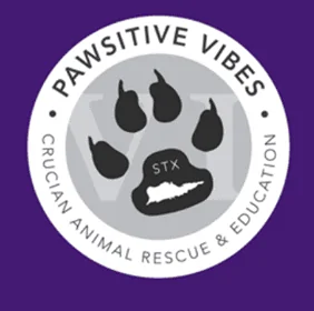 Purple Logo.webp
