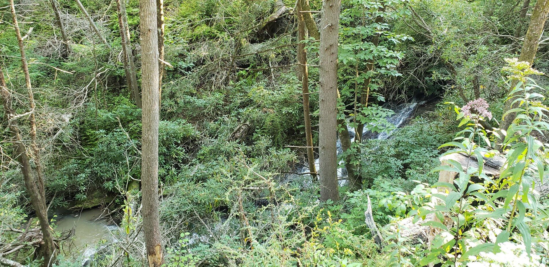 20200906_173902.jpg