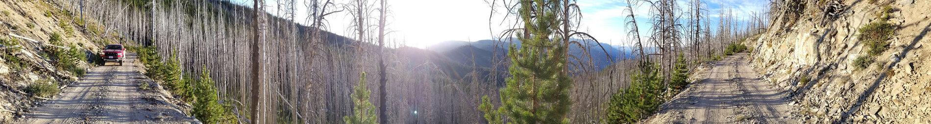 50315518407_da71e5888a_k.jpg