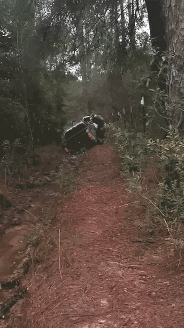 received_2755992594728825_1.gif