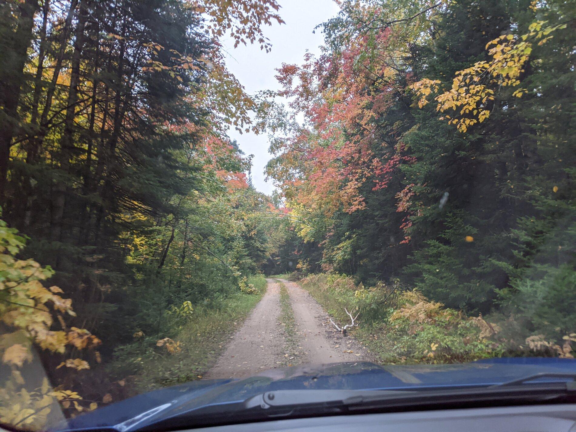 PXL_20200924_222755893.jpg