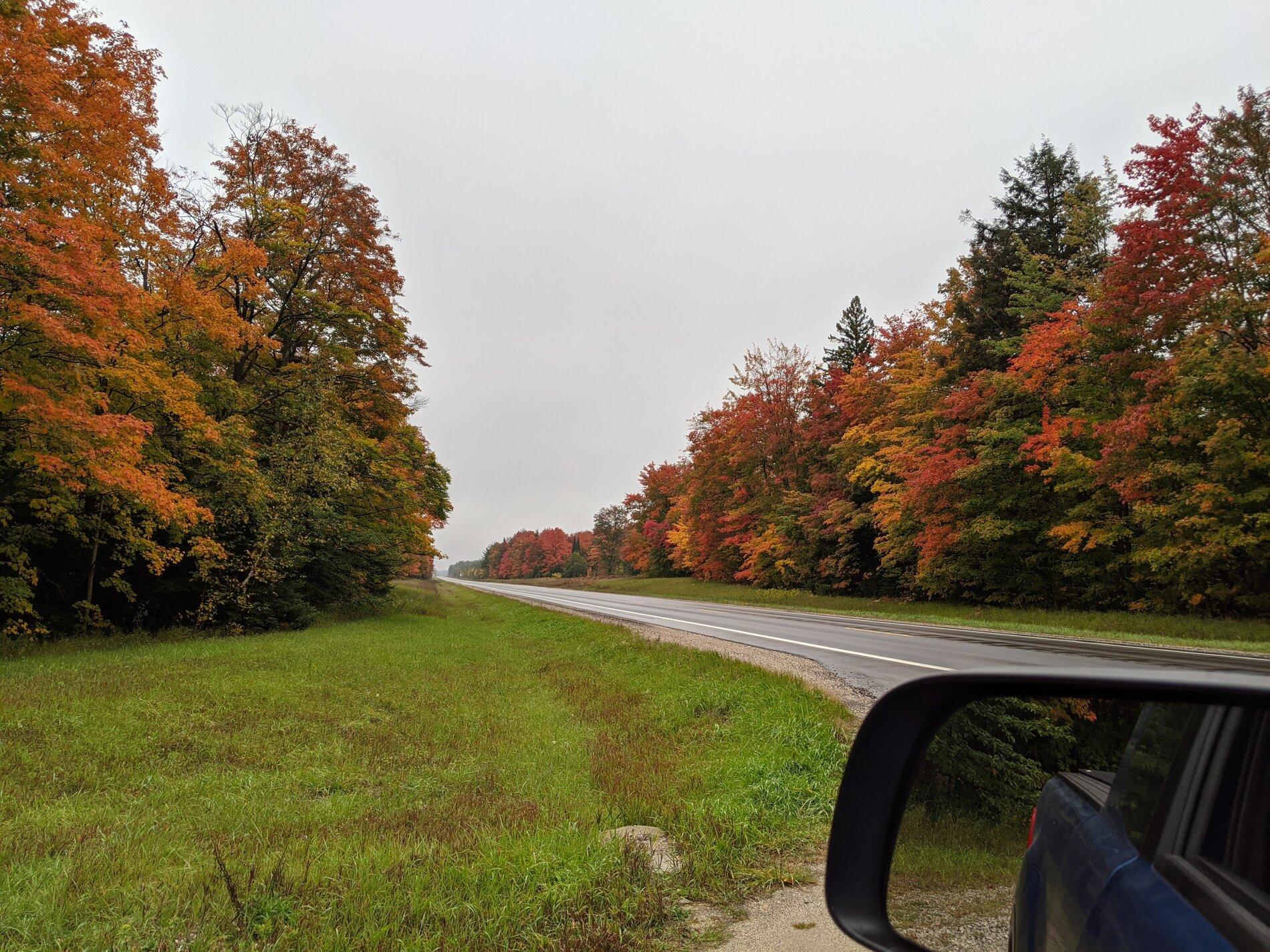 PXL_20200924_223104256.jpg