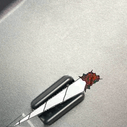 clip.gif