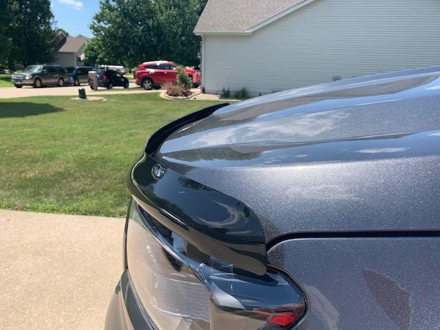 AVS Bug Deflector II.jpeg