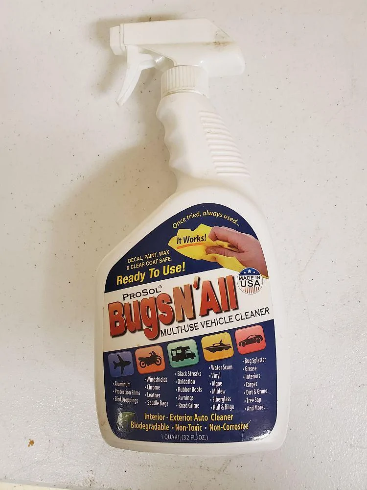 bugs.webp