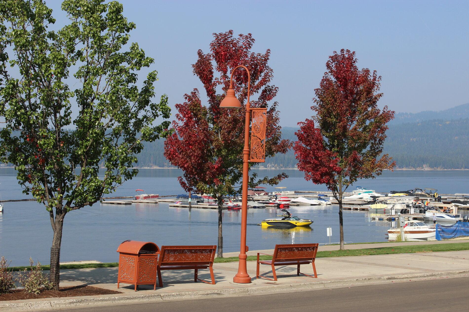 Pretty trees and post Oct 3 2020.JPG